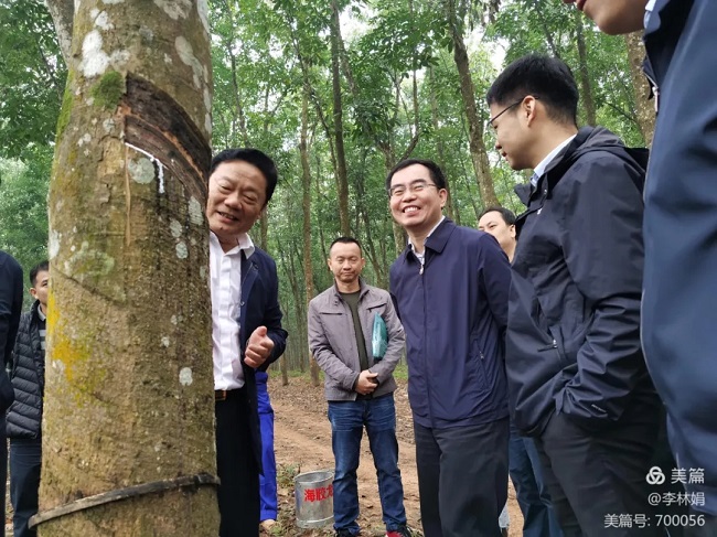 13KN針刺擠壓一體機